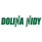 DOLINA NIDY